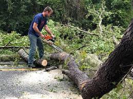 Lawn Grading and Leveling in Pacific City, OR