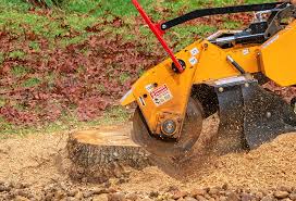 Best Lawn Pest Prevention  in Pacific City, OR