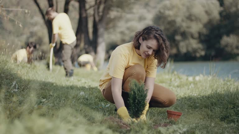 Best Organic Lawn Care Solutions  in Pacific City, OR